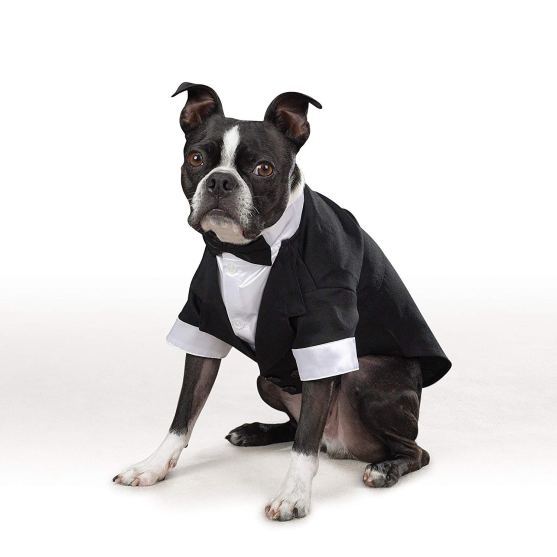 Gentleman Themed Dog Costume Ideas