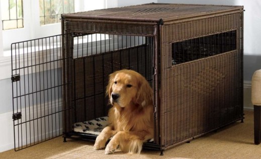 What is a Dog Crate?