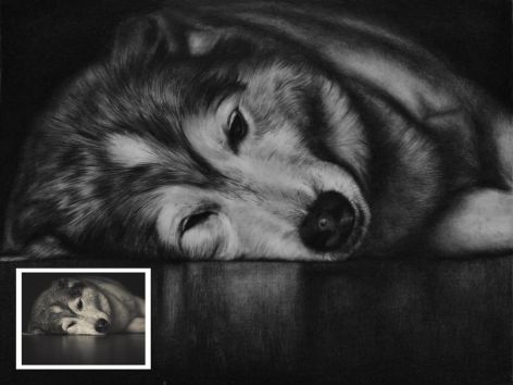 Handmade Charcoal Pet Portrait from Photo