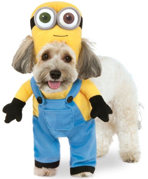Minion Theme Dog Costume Ideas