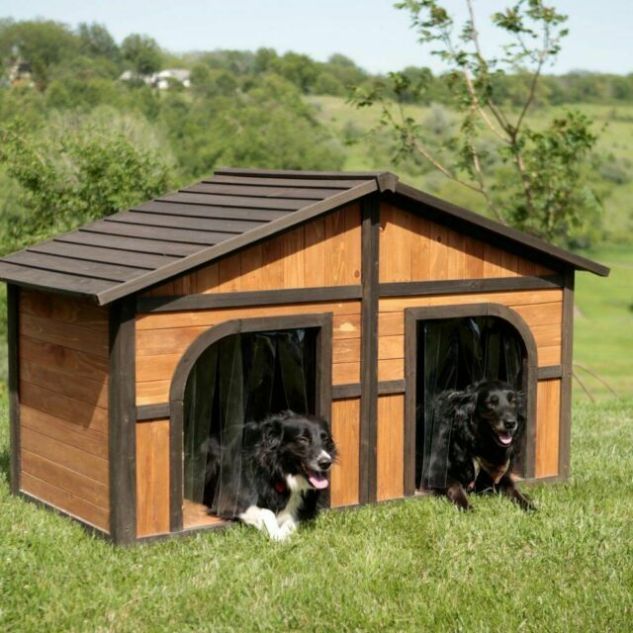 Double Door Dog House