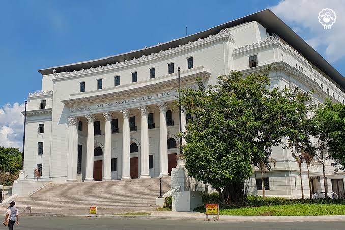 National Museum of Anthropology (Art Museums)