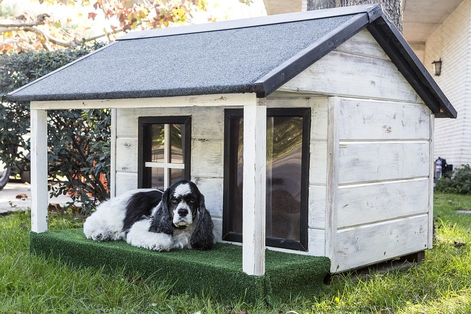 Open Air Concrete Dog House