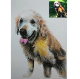 Pencil color sketch from photos