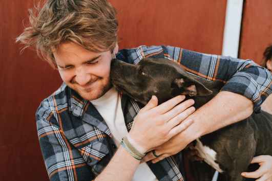 Dogs help controlling blood pressure (reasons to get a dog)