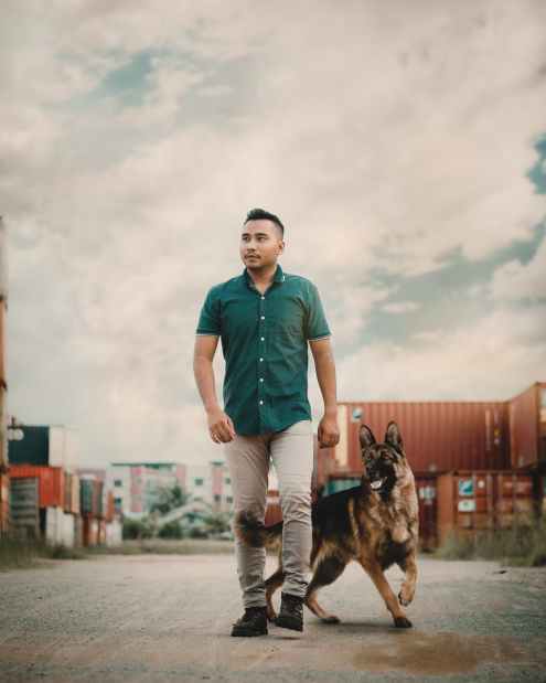 Dogs are humans' best friend