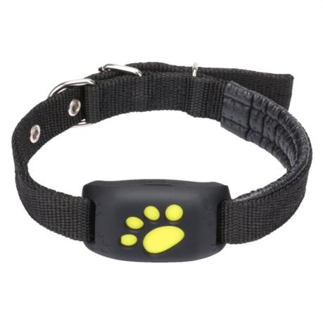 GPS Tracker Collar as birthday gift