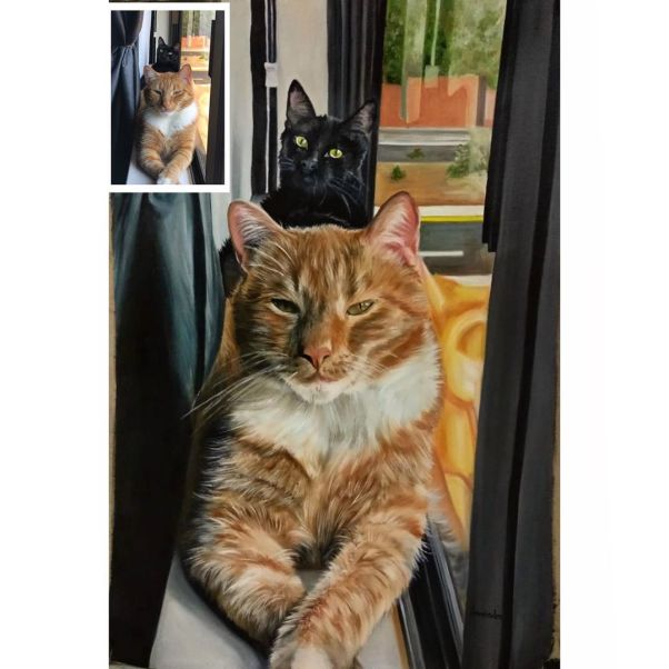 A brightly Focused Cat