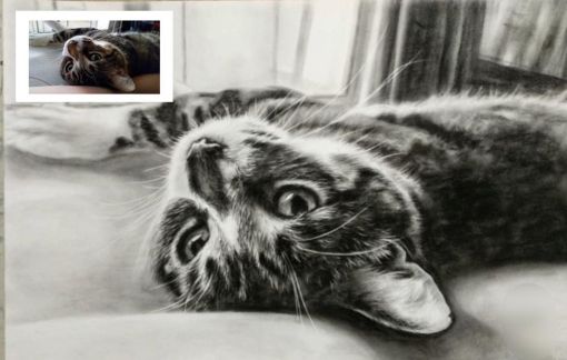 The Cheerful Little Cat