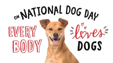 occasions to gift a pet portrait